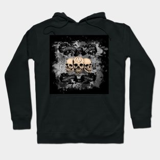 Nothing to die 4 Hoodie